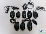 Plusieurs souris d'ordinateur noires sont alignées sur une surface blanche