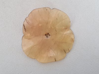 Feuille de nénuphar en néphrite brune percée en son centre d…