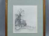 a pencil drawing of a landscape with trees and a fence