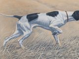 painting of a black and white dog running through tall grass