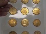 a person holding a piece of gold coins in their hand
