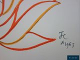 drawing of an orange and yellow flower with chinese writing on a white background