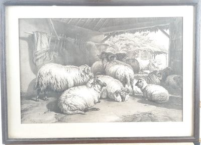 a picture of a picture of sheep in a barn