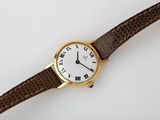 an image of a wrist watch with roman numerals on it