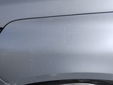 a cat that is sitting on the front of a car