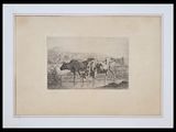 drawing of two cows standing in a field with trees in the background