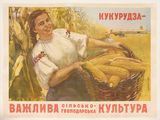 affiche représentant une femme tenant un panier de maïs devant un épi de maïs