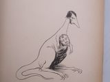an old book with a drawing of a kangaroo sitting on the ground