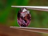 quelqu'un tient une pince sur laquelle est sertie un diamant violet