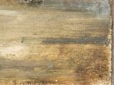 an oil painting of a tree in a field with a sky in the background