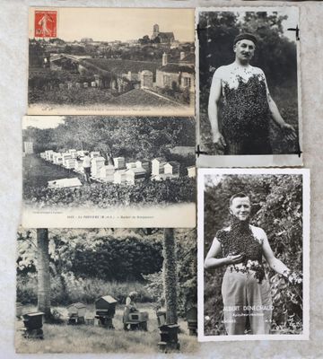 plusieurs vieilles photos en noir et blanc d'une femme dans un jardin