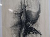 un dessin en noir et blanc représentant un oiseau avec une flèche plantée dans la tête