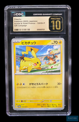 La carte Pokémon se trouve dans un étui en plastique transparent