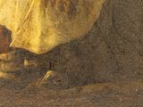 Photo 7/9 du lot