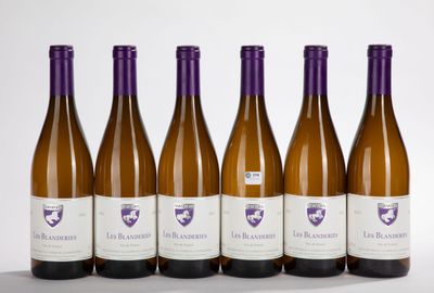 six bouteilles de vin sont alignées sur une surface blanche