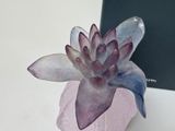 a small pink vase with a purple flower inside of it