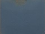 a bird that is sitting on the edge of the water