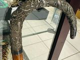 a close up of a walking stick in a glass case