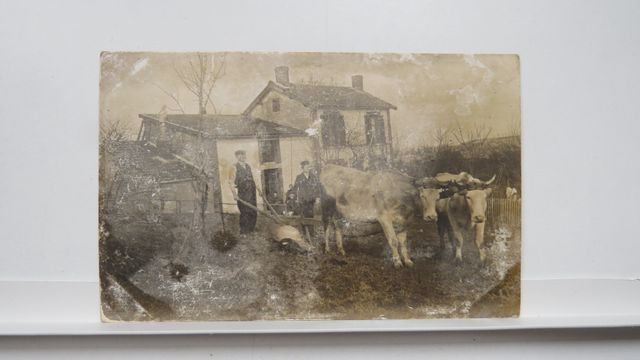 Le Châtelard : Carte-photo labour. Nombreux défauts.