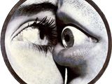 une photo en noir et blanc représentant l'œil d'une femme et le nez d'un homme