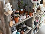 many potted plants on the shelves in the room