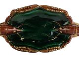 a picture of a green and brown plate with two bugs on it