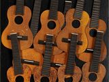 de nombreuses guitares exposées dans une vitrine-cadre