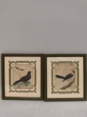 deux photos encadrées représentant des oiseaux perchés sur une branche, accrochées au mur