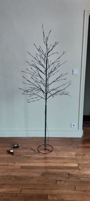 une photo d'un arbre nu au milieu d'un salon