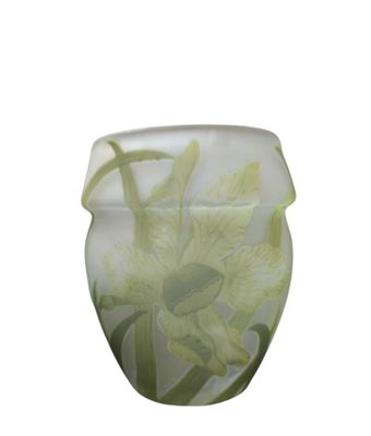 un vase en verre contenant une fleur verte