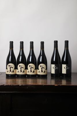 six bouteilles de vin sont posées sur une table en bois devant un mur blanc