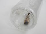 a small piece of wood sticking out of a glass jar