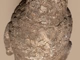 a statue of a head of a man with a beard