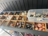 many different types of eggs in the bins on the table