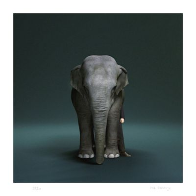 Mr Strange - The Trainer, 2024