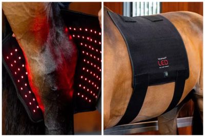 two pictures of a horse with a harness on it ' s back
