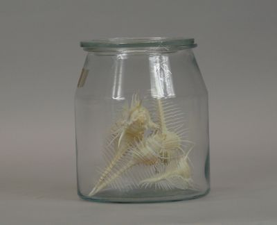 a glass jar with a skeleton in it on a table