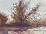 a watercolor painting of a river with a tree in the water