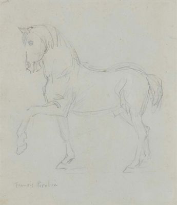 dessin représentant un cheval à la longue crinière et à la longue queue