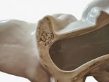 a statue of an elephant that is sitting on a table