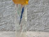 un vase en verre contenant une fleur jaune