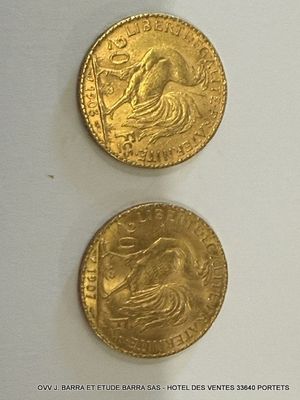 deux pièces d'or posées l'une sur l'autre sur une surface blanche