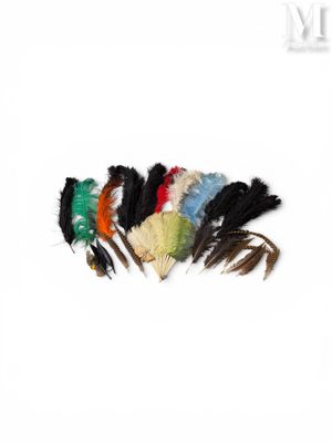 a bunch of different colored feathers on a white background