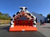 une vache gonflable qui saute hors d'une structure gonflable