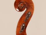 a close up of the back of a violin with a scroll