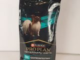 un gros plan d'un sac de croquettes pour chien posé sur une table
