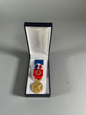 an image of a medal in a box with a ribbon around it