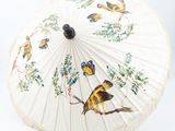 a white umbrella with a bird design on it