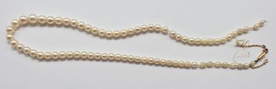 a close up of a pearl necklace on a white surface