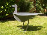 a bird that is sitting on a table in the grass
